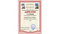 2013-2014 Разорёнов Федор 7л (ИО-физика) 1 тур